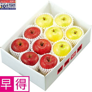 Gg[Ń|Cg10{y~̑̑z쌧YiJAȂ̎RmnjTӂ񂲂ƉсieGiAe2L`LTCYAe4`5j