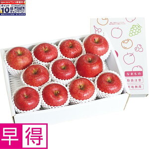 Gg[Ń|Cg10{y~̑̑zYiэjؑ񎩖̃Tӂ GiAL2LTCYA9`11Av3kgȏ