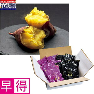 Gg[Ń|Cg10{y~̑̑z錧YⓀZ g͂邩EVNXB[gHה׃Zbg