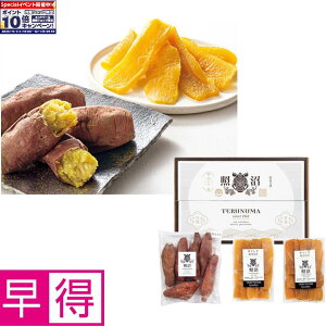 Gg[Ń|Cg10{y~̑̑z錧YiƏjg͂邩ĂEZbgiⓀj