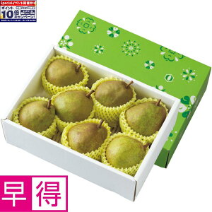 Gg[Ń|Cg10{y~̑̑zR`Y gbvǒb݃EtX GiA2LTCYȏA5[7Av2kgȏ