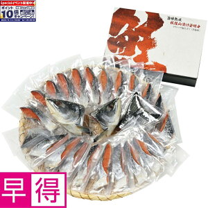 Gg[Ń|Cg10{y~̑̑zkC|n HRЂpؐg EVbvdāiÉj