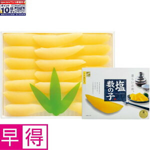 Gg[Ń|Cg10{y~̑̑zkC aHiނ̎q