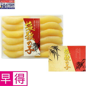 Gg[Ń|Cg10{y~̑̑zkCMt[Y̎q