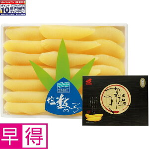 Gg[Ń|Cg10{y~̑̑zkC k{YY ̎q ނ