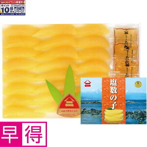 Gg[Ń|Cg10{y~̑̑z䌴Y}j ̎q t