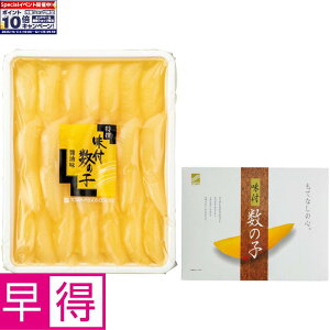 Gg[Ń|Cg10{y~̑̑zkC aHit̎q