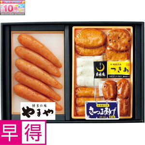 Gg[Ń|Cg10{y~̑̑z܂△FhqqAܗgZbg