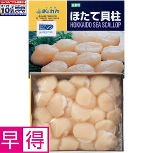 Gg[Ń|Cg10{y~̑̑zkCMSCF kCYقĊL