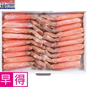 Gg[Ń|Cg10{y~̑̑ziY킢ɂԂԁEhgp800g