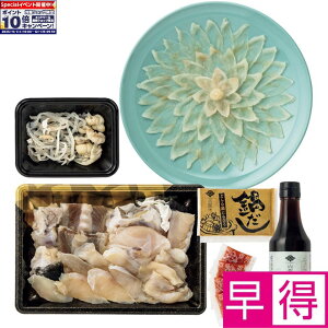 Gg[Ń|Cg10{y~̑̑z RVRgtOhgZbg