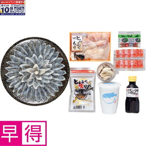 Gg[Ń|Cg10{y~̑̑z֖V[tbVƂӂi{BjtR[X