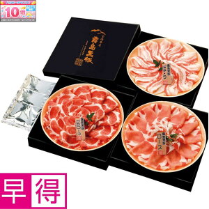 Gg[Ń|Cg10{y~̑̑z؂Ԃ3Hׂ׃Zbg