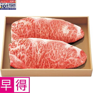 Gg[Ń|Cg10{y~̑̑z{苍[XXe[Lp