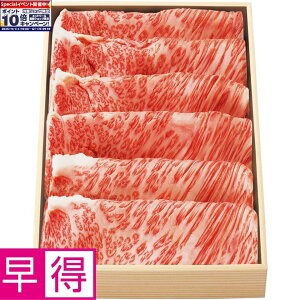 Gg[Ń|Cg10{y~̑̑z{苍[X₫p