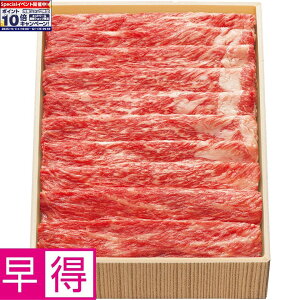 Gg[Ń|Cg10{y~̑̑zˋԂԗp