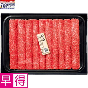 Gg[Ń|Cg10{y~̑̑za₫p