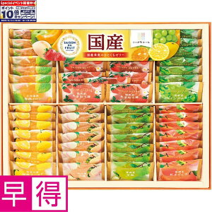 Gg[Ń|Cg10{y~̑̑zZ] f tCYʎ̂ЂƂ[[