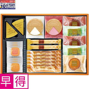 Gg[Ń|Cg10{y~̑̑zEC^[Mtg ^ԁFWS-S