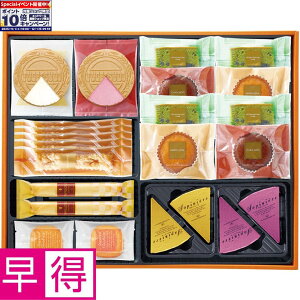 Gg[Ń|Cg10{y~̑̑zEC^[Mtg ^ԁFWS-Y