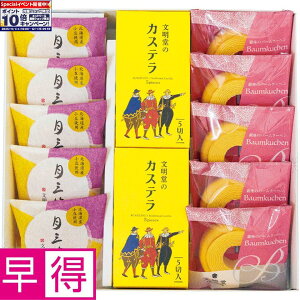 Gg[Ń|Cg10{y~̑̑zJXeamَqMtg