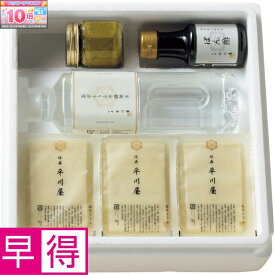 ★エントリーでポイント10倍★【冬の贈りもの早得】佐嘉平川屋温泉湯豆腐セット（ぽん酢付き）