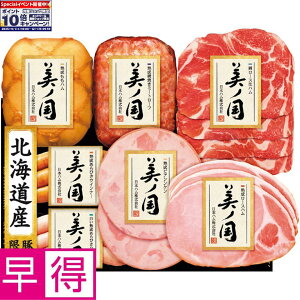 Gg[Ń|Cg10{y~̑̑z{nkC v~A m ^ԁFUKH-53