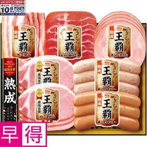 Gg[Ń|Cg10{y~̑̑zۑHie ^ԁFMO-300