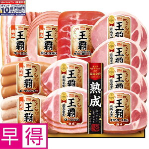 Gg[Ń|Cg10{y~̑̑zۑHie ^ԁFMO-500