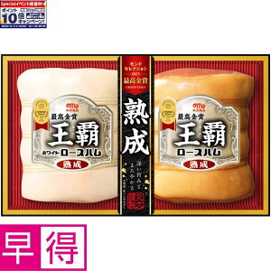 Gg[Ń|Cg10{y~̑̑zۑHie ^ԁFMO-502