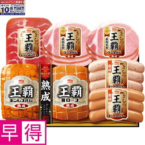 Gg[Ń|Cg10{y~̑̑zۑHie ^ԁFMO-530