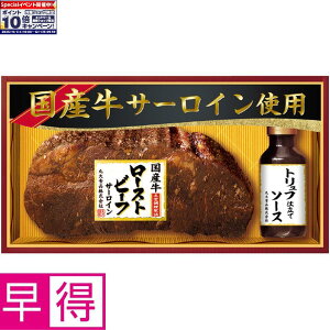 Gg[Ń|Cg10{y~̑̑zۑHiYT[Cgp[Xgr[t