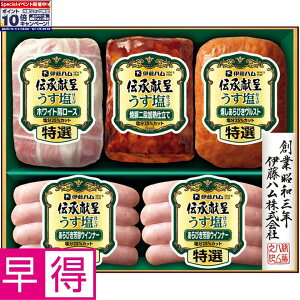 Gg[Ń|Cg10{y~̑̑zɓn`悤dグ