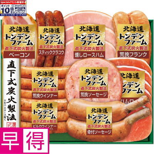 Gg[Ń|Cg10{y~̑̑zgft@[kCgft@[ ^ԁFTA-55