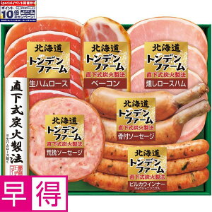 Gg[Ń|Cg10{y~̑̑zgft@[kCgft@[ ^ԁFTA-395