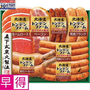 Gg[Ń|Cg10{y~̑̑zgft@[kCgft@[ ^ԁFTA-43