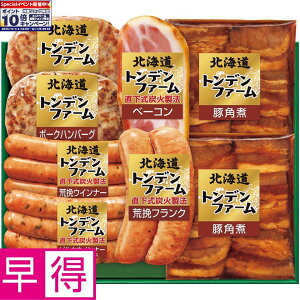 Gg[Ń|Cg10{y~̑̑zgft@[kCgft@[ ^ԁFTA-58