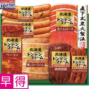 Gg[Ń|Cg10{y~̑̑zgft@[kCgft@[ ^ԁFTA-82