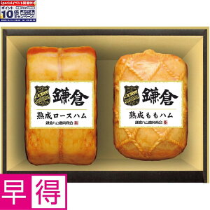 Gg[Ń|Cg10{y~̑̑zqnxqnx̏nl