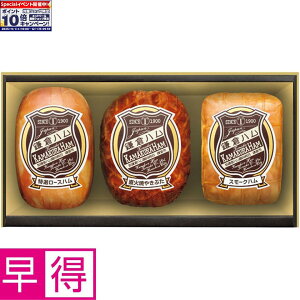 Gg[Ń|Cg10{y~̑̑zqnxqn MtgZbg ^ԁFKDS-56A