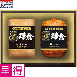 Gg[Ń|Cg10{y~̑̑zqnxÓsq 킢