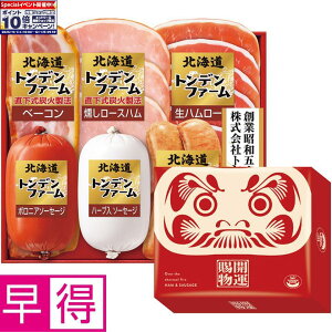 Gg[Ń|Cg10{y~̑̑zgft@[kCJ^Zbg