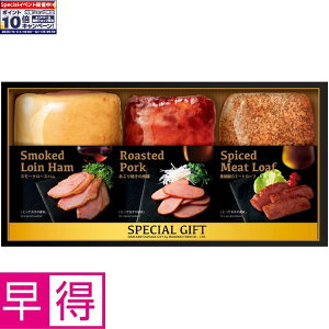 Gg[Ń|Cg10{y~̑̑zۑHiA\[gZbg ^ԁFMGF-45