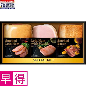 Gg[Ń|Cg10{y~̑̑zۑHiA\[gZbg ^ԁFMGF-55