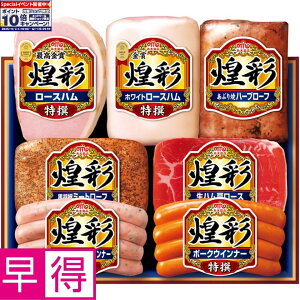 Gg[Ń|Cg10{y~̑̑zۑHi ^ԁFMV-767