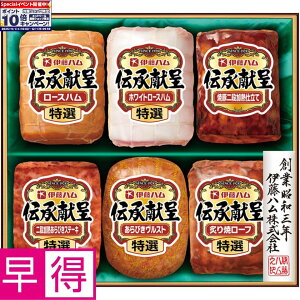 Gg[Ń|Cg10{y~̑̑zɓn` ^ԁFAI-B