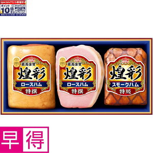 Gg[Ń|Cg10{y~̑̑zۑHi ^ԁFMVS-453