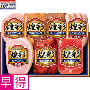 Gg[Ń|Cg10{y~̑̑zۑHi ^ԁFMV-537