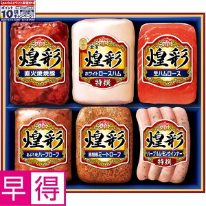 Gg[Ń|Cg10{y~̑̑zۑHi ^ԁFMV-556