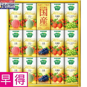 Gg[Ń|Cg10{y~̑̑zJSؐ100Yv~A ^ԁFYP-30S